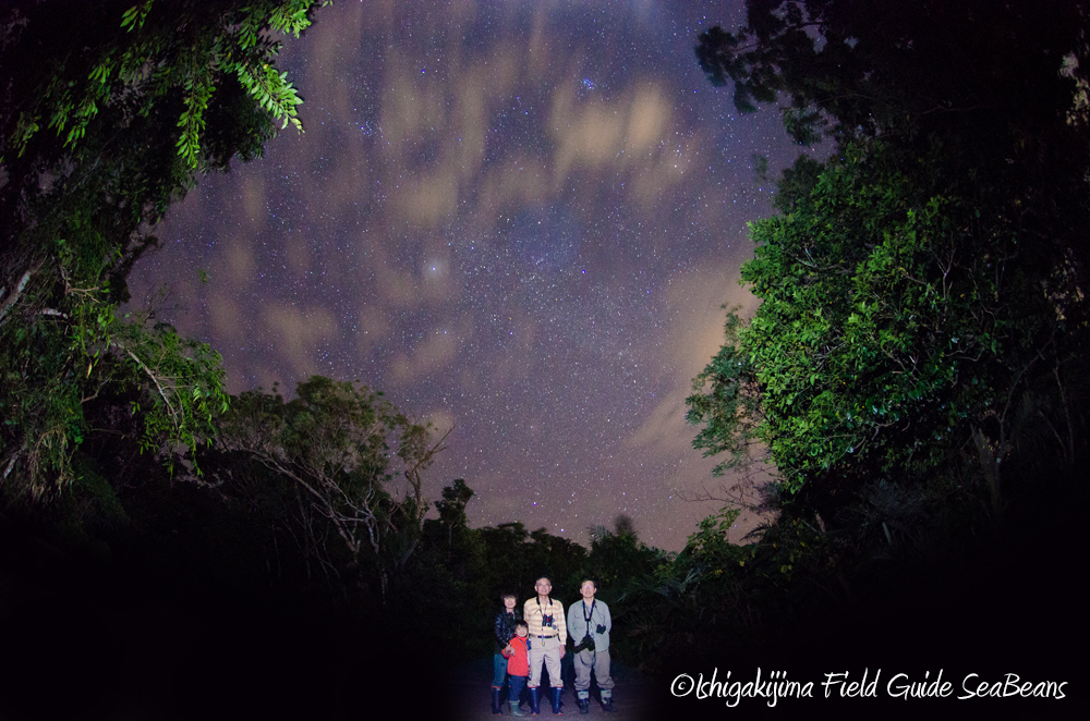 夜のバードウオッチング＆自然観察！！石垣島のナイトツアー。