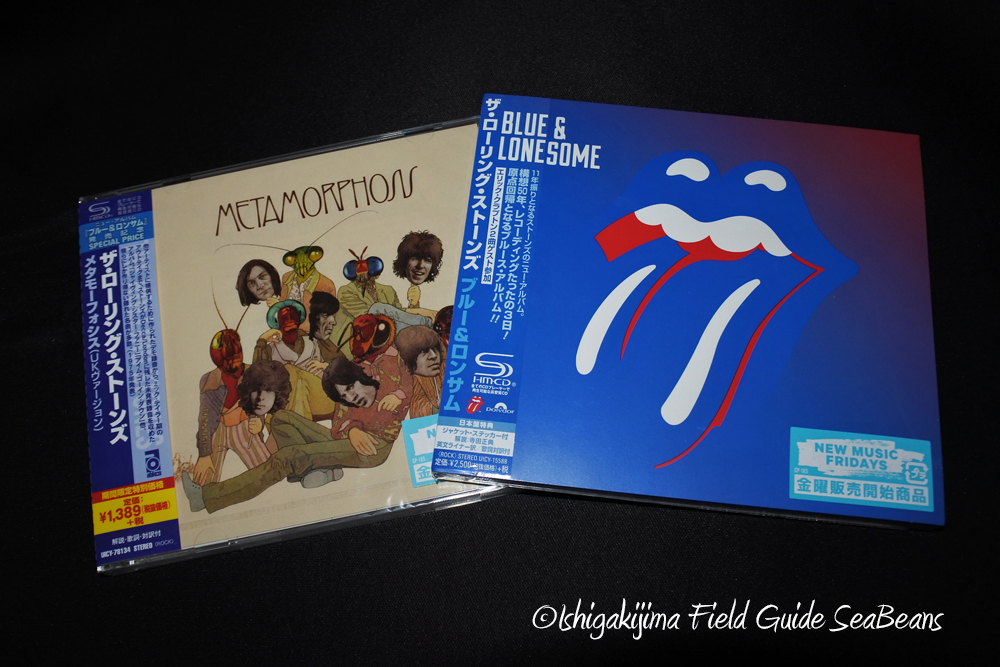 Rolling Stones Blue&Lonesome 待望のニューアルバム！！