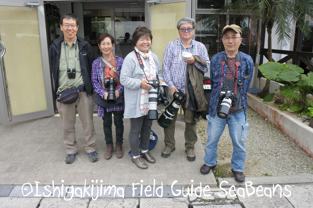 ヤツガシラにカタグロトビなど出会い沢山！！バードウオッチング＆野鳥撮影ガイド。