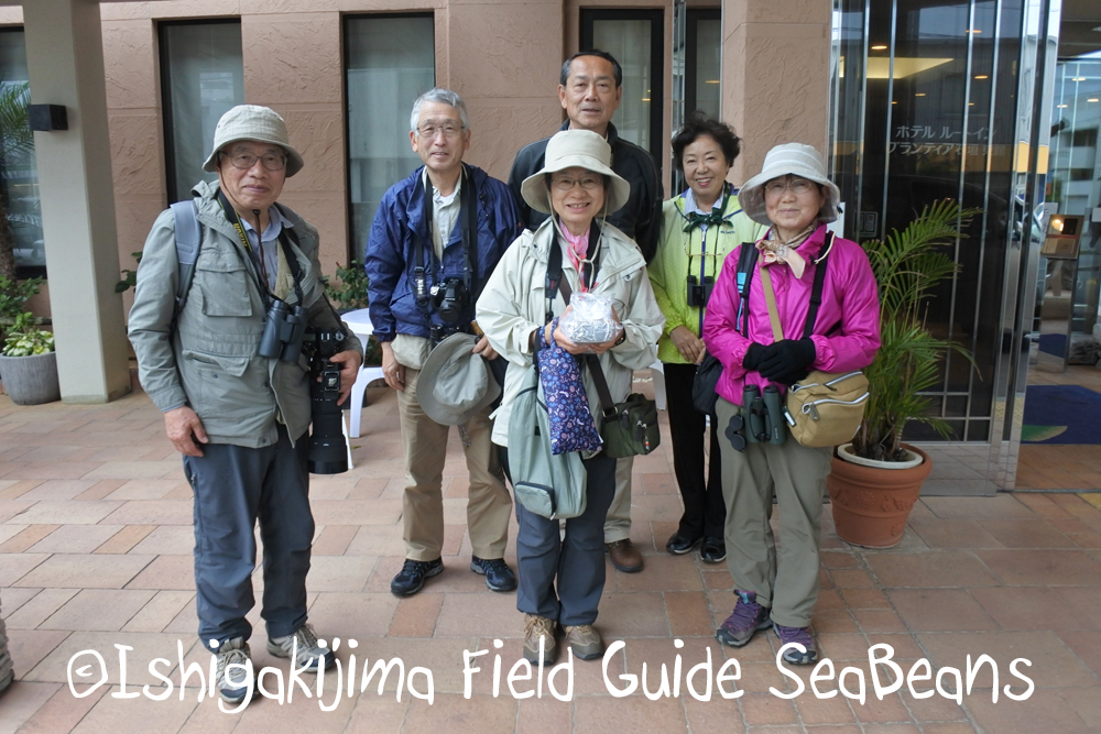 ヤツガシラと石垣島の野鳥たち！！バードウオッチング＆野鳥撮影ガイド。