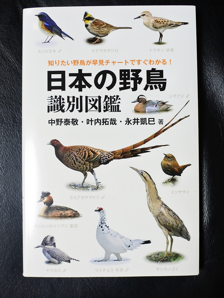 重版出来！！日本の野鳥識別図鑑。