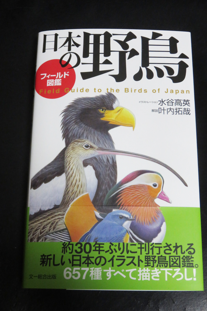 日本の野鳥　フィールド図鑑　