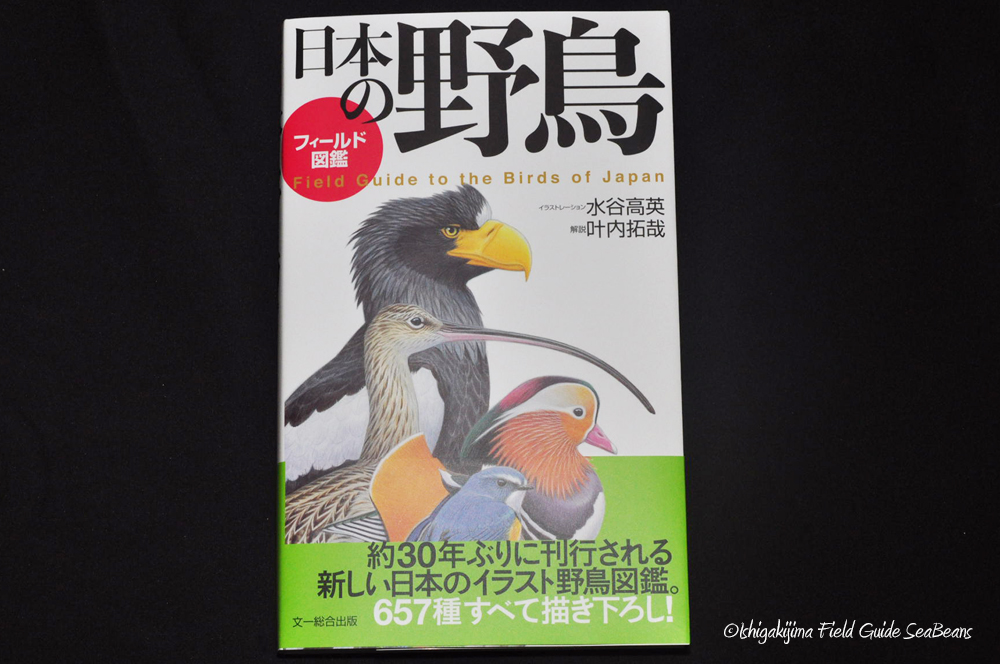 日本の野鳥　フィールド図鑑　入荷しました。
