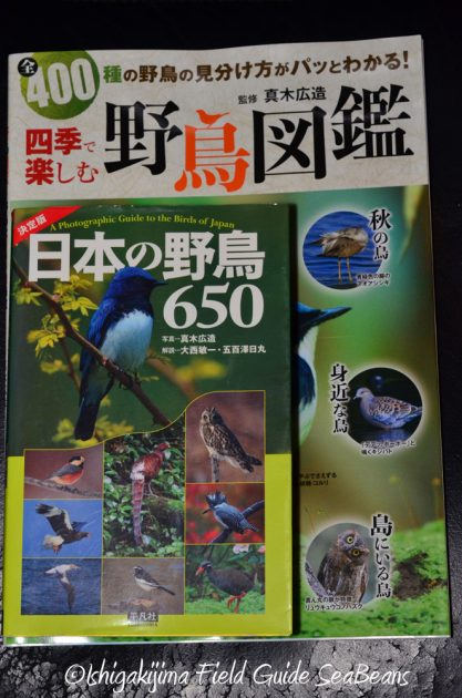 四季で楽しむ野鳥図鑑 真木広造