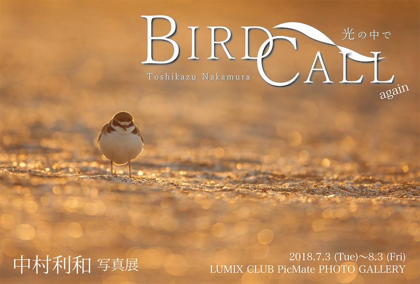 「BIRD CALL」again　写真展のお知らせ。