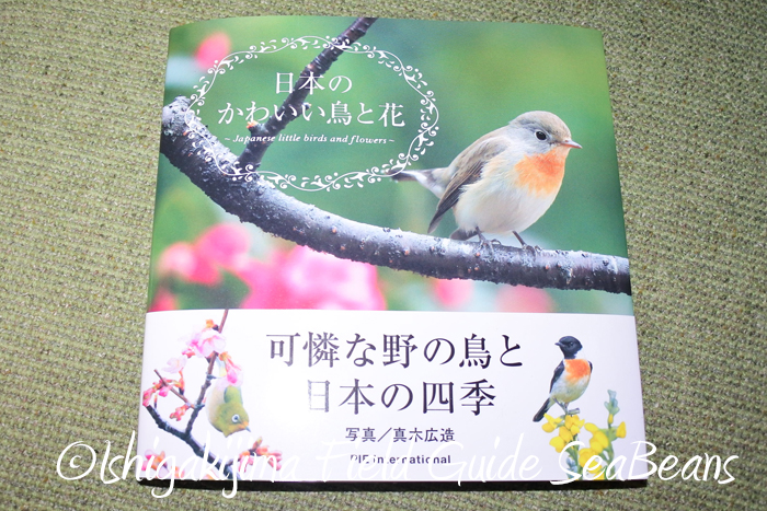日本のかわいい鳥と花 写真集 – 真木 広造 (著)