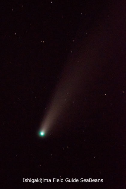 今夜は自宅からネオワイズ彗星！！