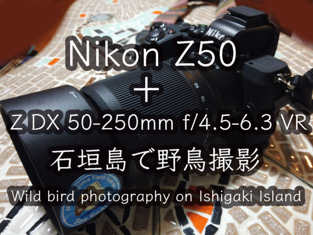 Nikon Z50＋Z DX 50-250mm f/4.5-6.3 VR 石垣島で野鳥撮影。 Wild bird photography on Ishigaki Island.