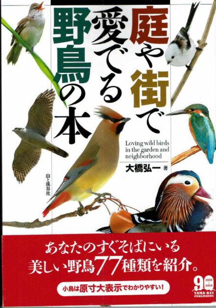 「庭や街で愛でる野鳥の本」大橋弘一著　