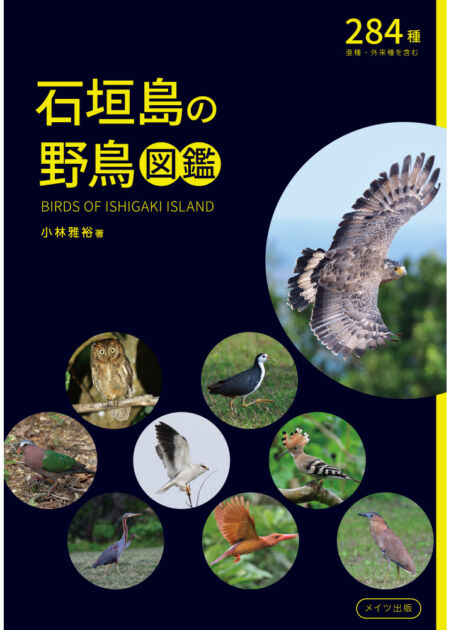 石垣島の野鳥図鑑