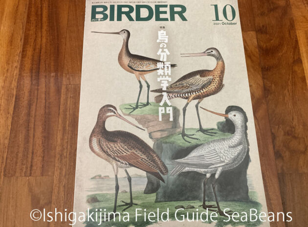 BIRDER（バーダー）2021年10月号 　ギンカモメ、石垣島の野鳥図鑑紹介、オリイガラ