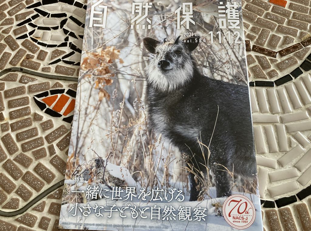 自然保護11.12月号 「石垣島の野鳥図鑑」を紹介して頂きました。