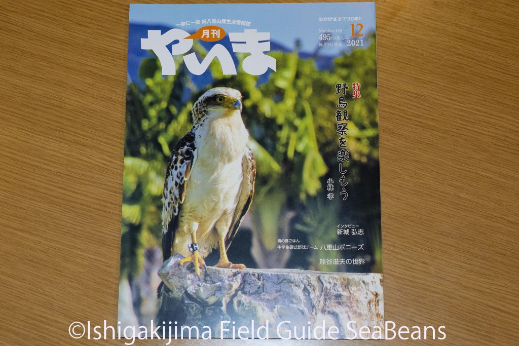 月刊やいま12月号「野鳥観察を楽しもう」