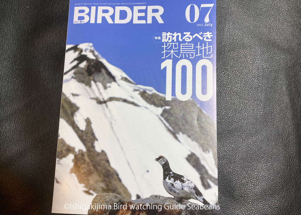 BIRDER 7月号 「訪れるべき探鳥地100 石垣島の紹介」