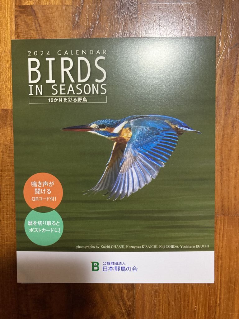 日本野鳥の会　2024年　卓上カレンダー