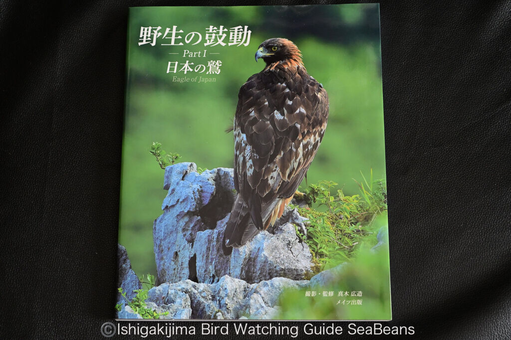 野生の鼓動 Part1 日本の鷲 　著者、撮影：真木広造