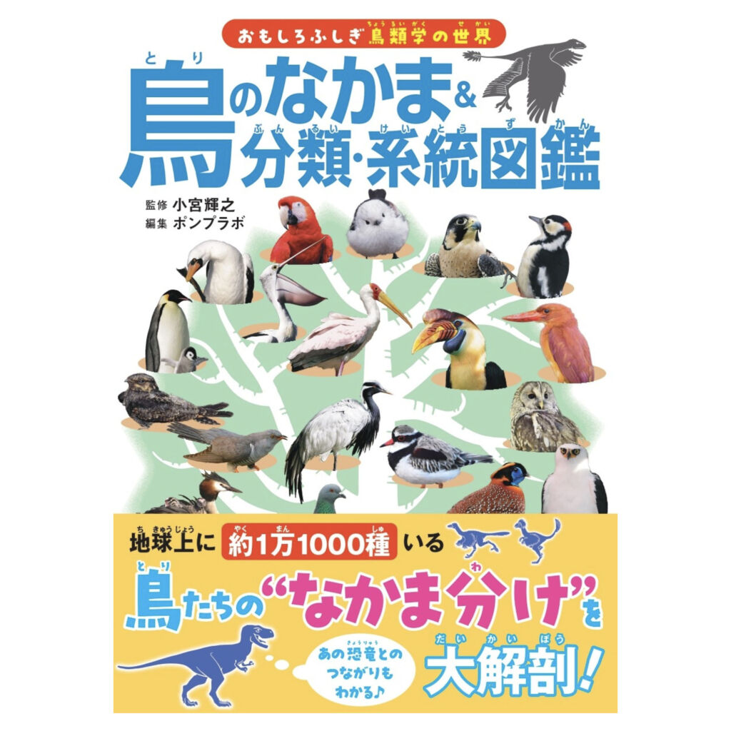 鳥のなかま＆分類・系統図鑑 単行本（ソフトカバー） – 2025/3/11