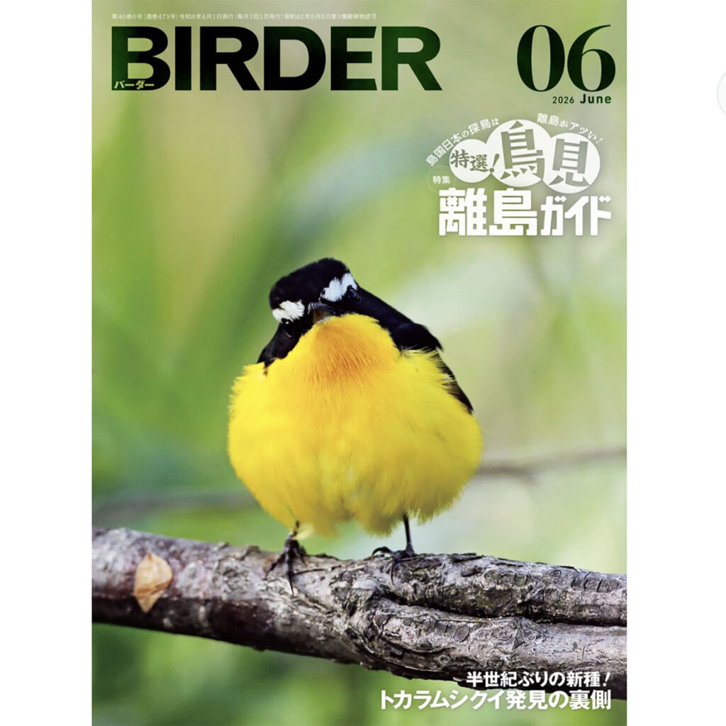 BIRDER（バーダー） 2026年6月号　 特選！鳥見離島ガイド